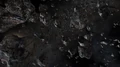 Trellium asteroid field.jpg