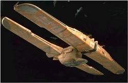 C9979 1.jpg