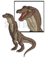 Komodithrax