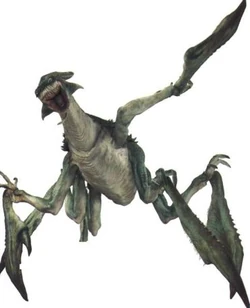Acklay1.jpg