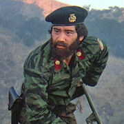Castro Beard