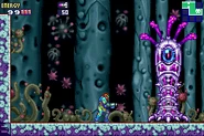 Pogo