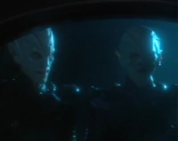 Reman bodyguards.jpg
