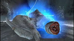 Thunder
