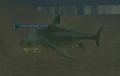 Razortooth shark.jpg
