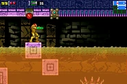 Acid Worm2