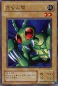 BasicInsect-LB-JP-C
