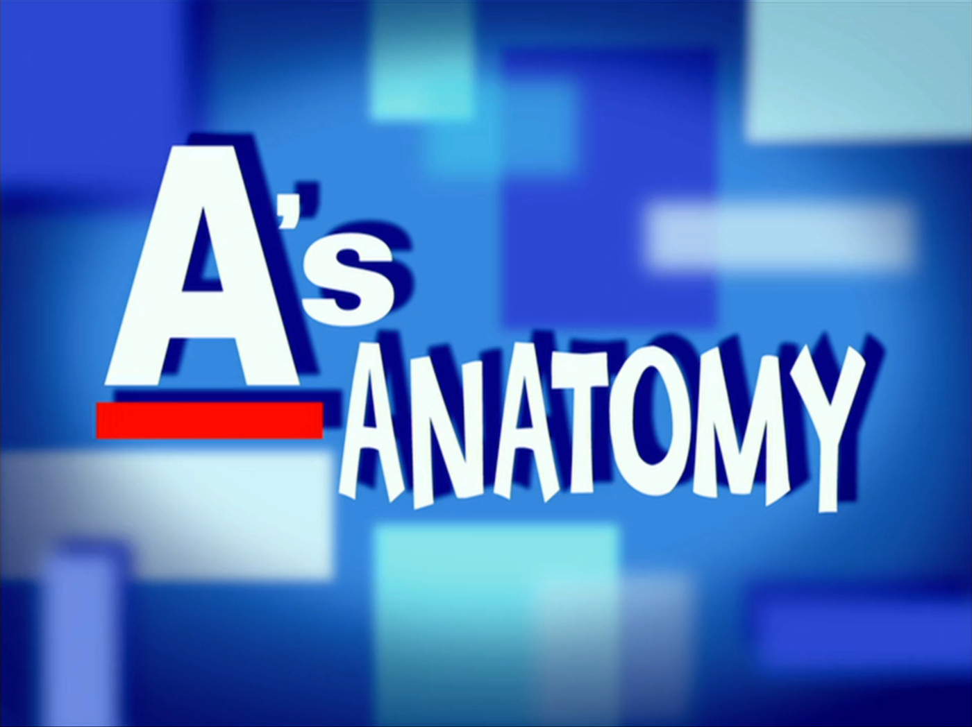 Anatomy