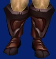 Boots of Elusion.jpg