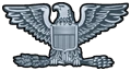 Colonel insignia.