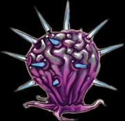 Seedling