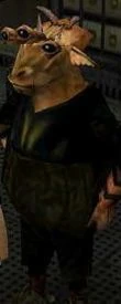 Barbo.jpg