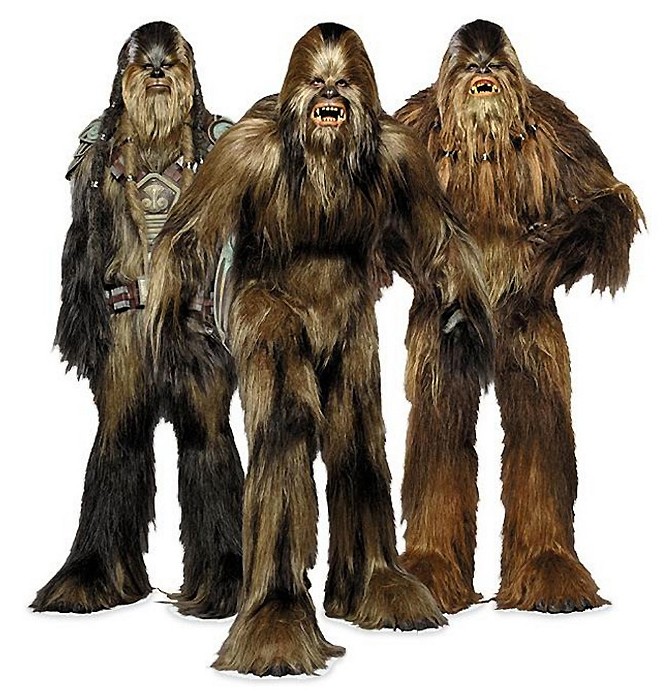 http://images3.wikia.nocookie.net/__cb20070821060624/ru.starwars/images/4/4a/Wookies.jpg