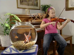 Ewviolins-kid