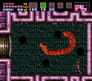 Botwoon4