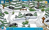 Forest-camp