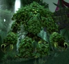 TalonswarnForest rager