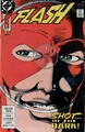 Flash 30