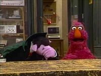 Hideandseek-count-telly.jpg