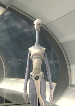 Taun We.jpg