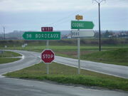 N137 - Pons