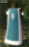 Cloak of Valor (worn).jpg