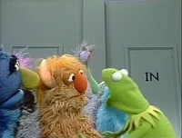 Kermit-in-out-doors.jpg