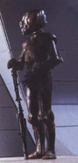 4-LOM