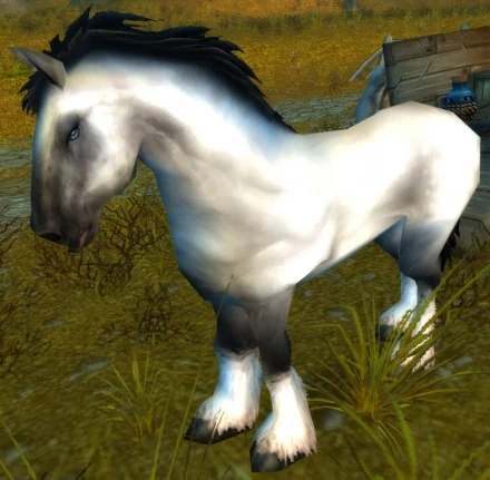 Forum Image: http://images3.wikia.nocookie.net/__cb20070911120944/wowwiki/images/6/62/Old_Blanchy.jpg