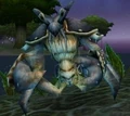 Makrura Shellhide.jpg
