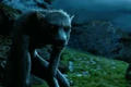 Werewolf.jpg