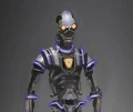 PROXY.jpg