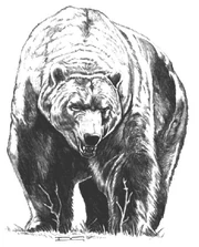 Direbear