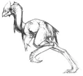 Thumbnail for version as of 02:28, September 24, 2007