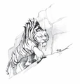 SaberCat.jpg