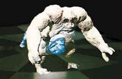 Kintan strider.jpg