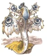 Img urusai
