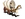U.settlers.png