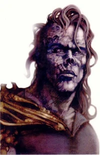 VuaRapuung2