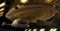 Voyager drydock