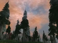 HowlingForest.jpg