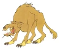 Sungwa swenc.jpg