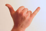 Gesture raised fist with thumb and pinky lifted