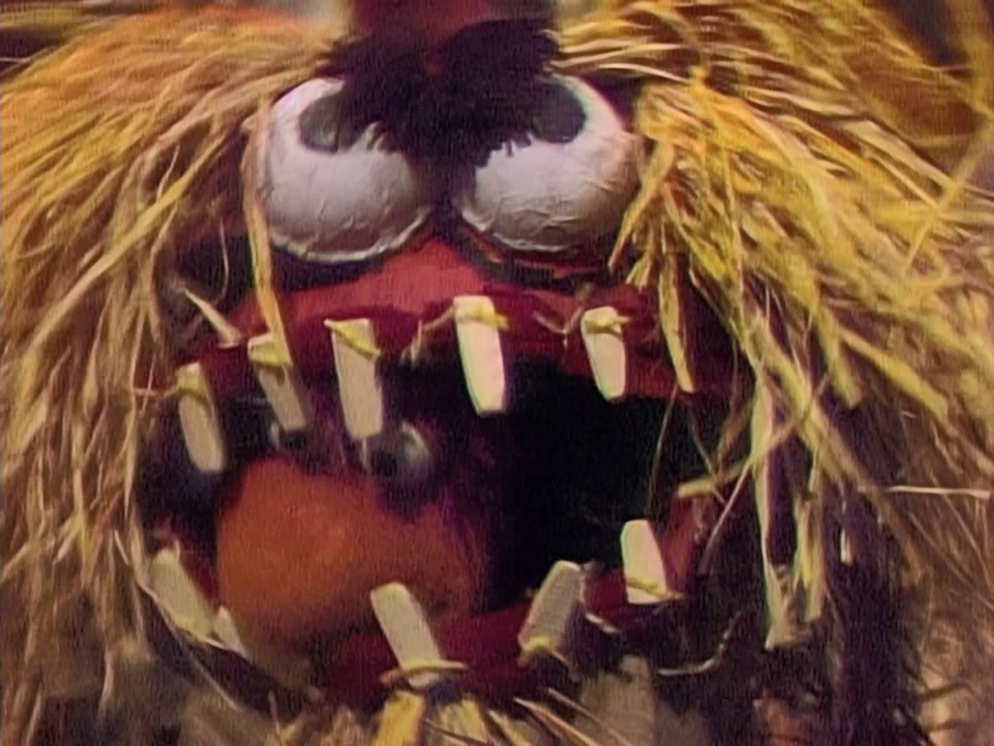 Weebaweeba