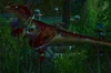 RazRap