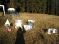 Barter fair cooker display.jpg