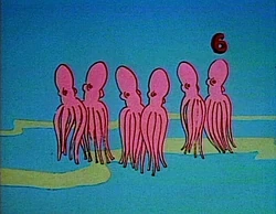 6Octopus