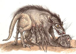Womp Rat.jpg