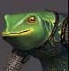 Froglok (Character Race) Female
