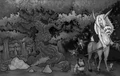 Emeralddreamcreatures.JPG